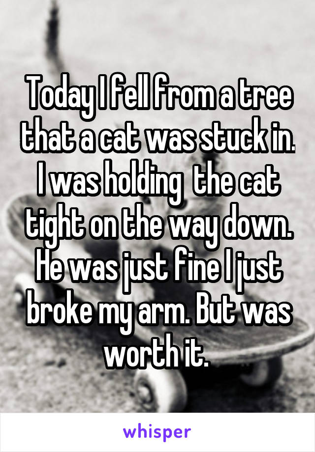 Today I fell from a tree that a cat was stuck in. I was holding  the cat tight on the way down. He was just fine I just broke my arm. But was worth it. 