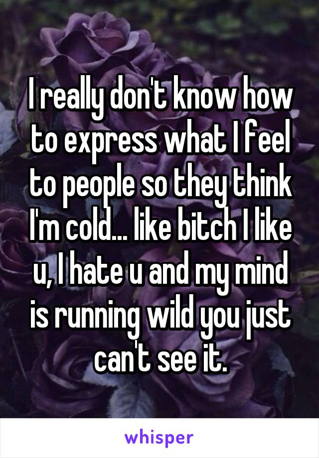 I really don't know how to express what I feel to people so they think I'm cold... like bitch I like u, I hate u and my mind is running wild you just can't see it.