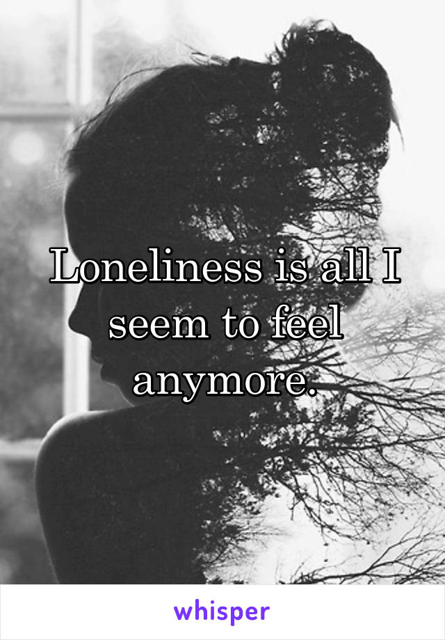 Loneliness is all I seem to feel anymore.