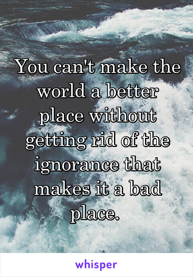 You can't make the world a better place without getting rid of the ignorance that makes it a bad place. 