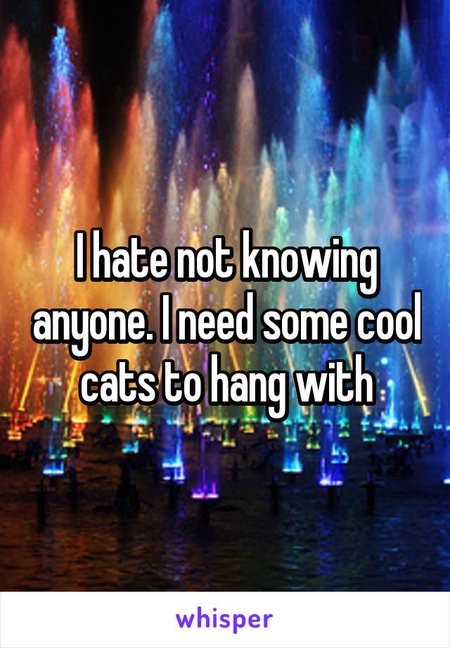 I hate not knowing anyone. I need some cool cats to hang with