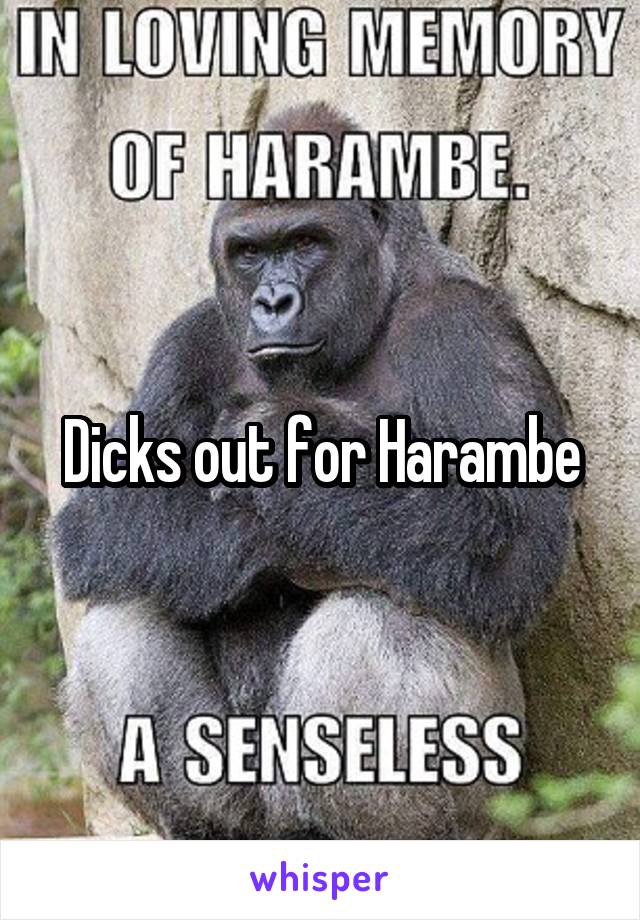 Dicks out for Harambe