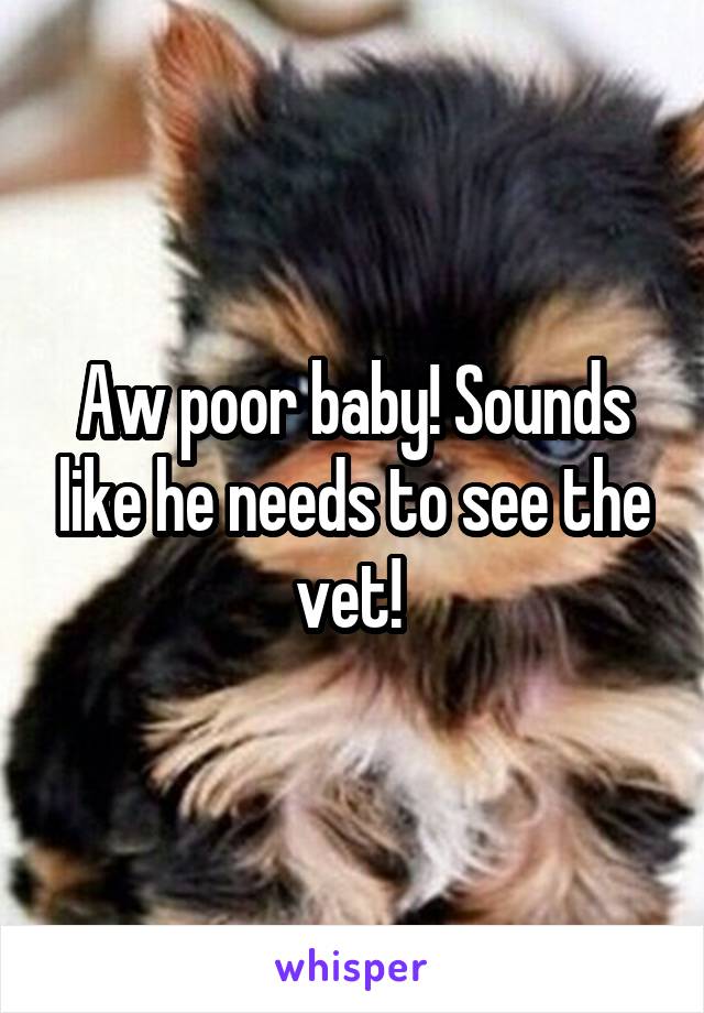 Aw poor baby! Sounds like he needs to see the vet! 