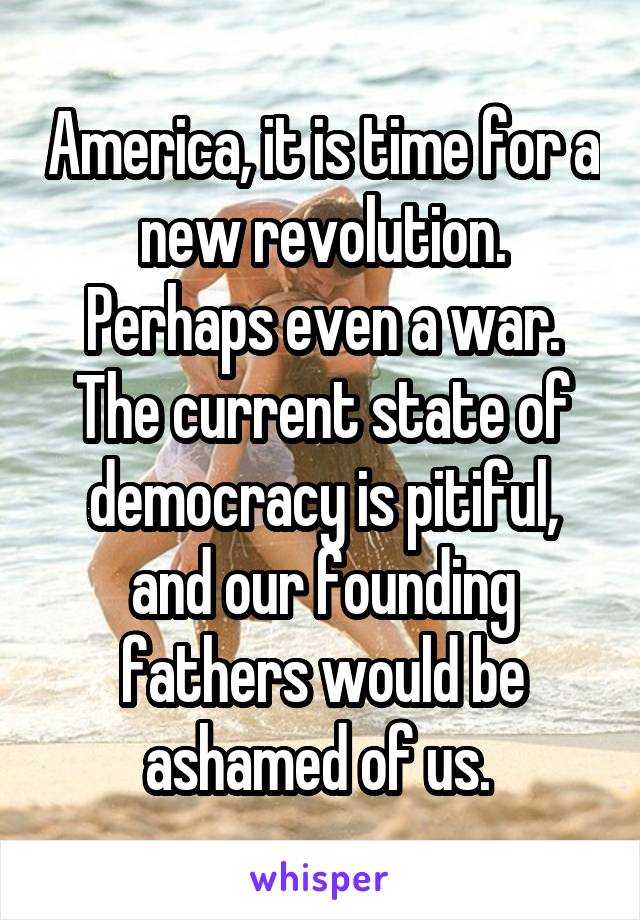 America, it is time for a new revolution. Perhaps even a war. The current state of democracy is pitiful, and our founding fathers would be ashamed of us. 