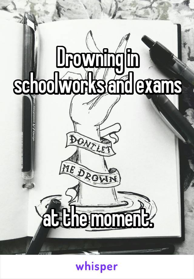 Drowning in schoolworks and exams




at the moment.