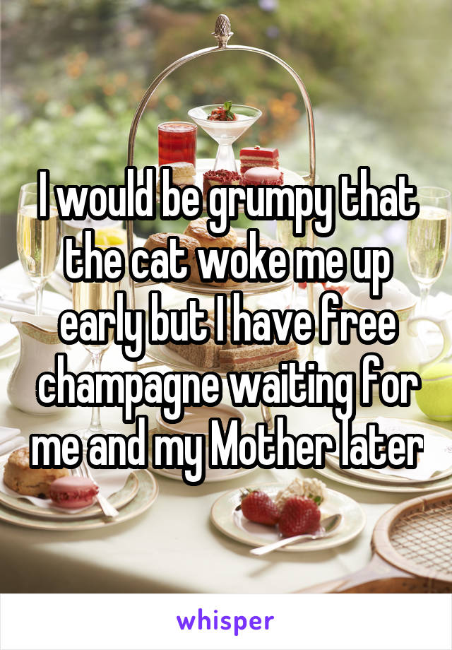 I would be grumpy that the cat woke me up early but I have free champagne waiting for me and my Mother later