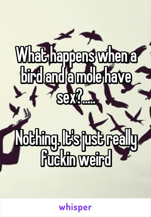 What happens when a bird and a mole have sex?.....

Nothing. It's just really fuckin weird