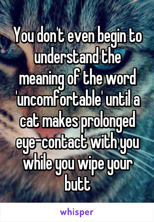 You don't even begin to understand the meaning of the word 'uncomfortable' until a cat makes prolonged eye-contact with you while you wipe your butt