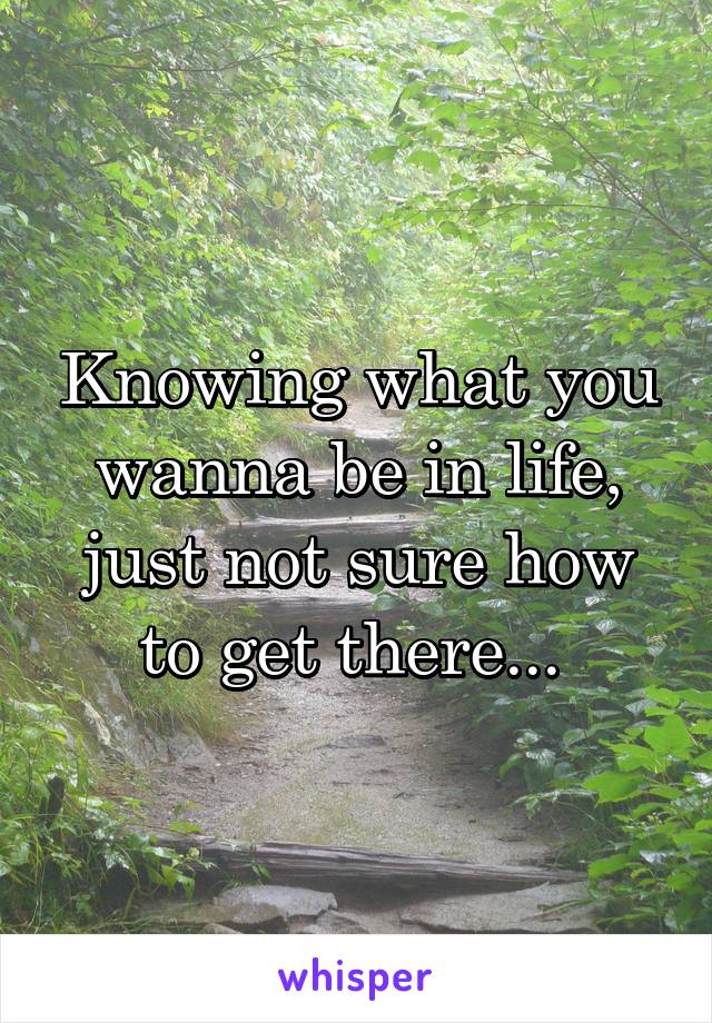 Knowing what you wanna be in life, just not sure how to get there... 