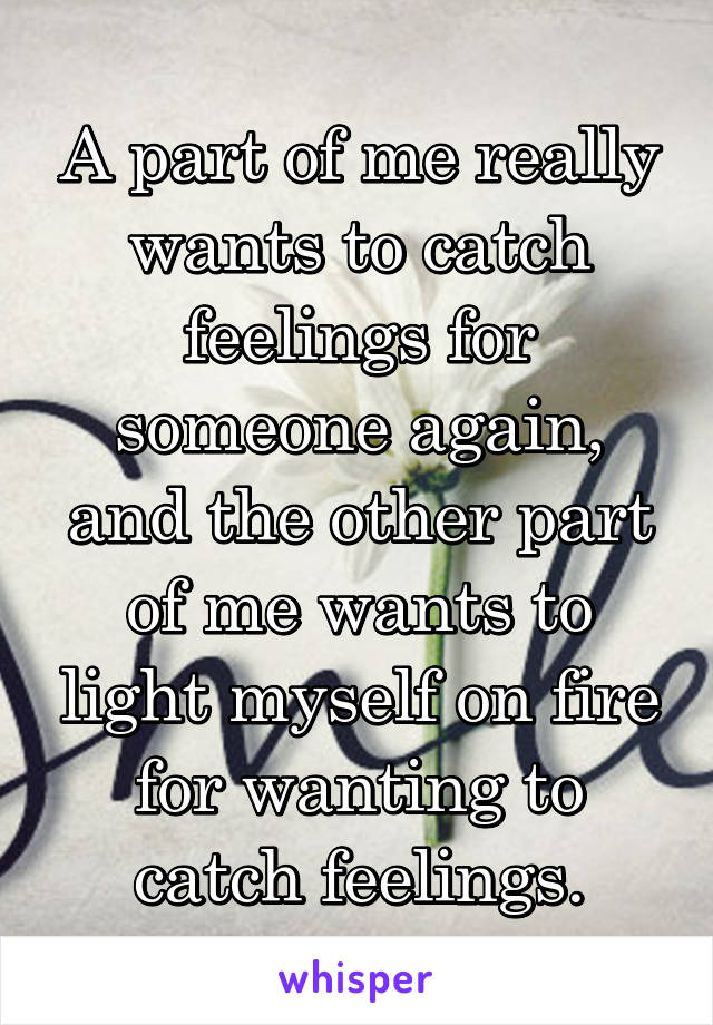 A part of me really wants to catch feelings for someone again, and the other part of me wants to light myself on fire for wanting to catch feelings.