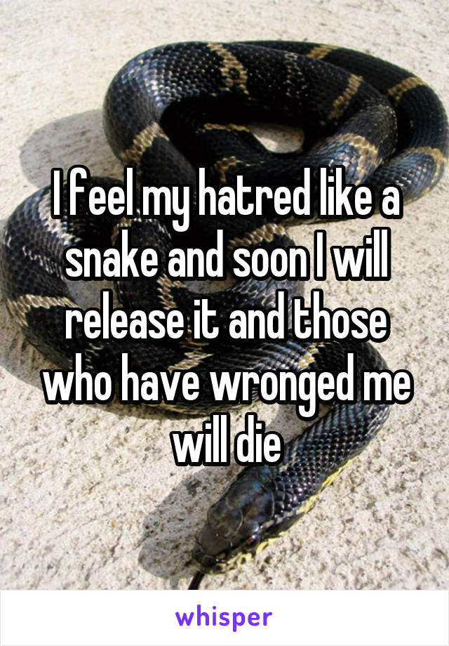 I feel my hatred like a snake and soon I will release it and those who have wronged me will die