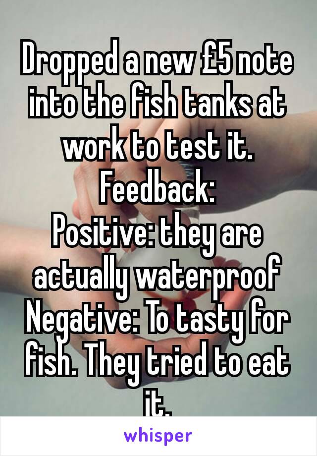 Dropped a new £5 note into the fish tanks at work to test it.
Feedback:
Positive: they are actually waterproof
Negative: To tasty for fish. They tried to eat it.