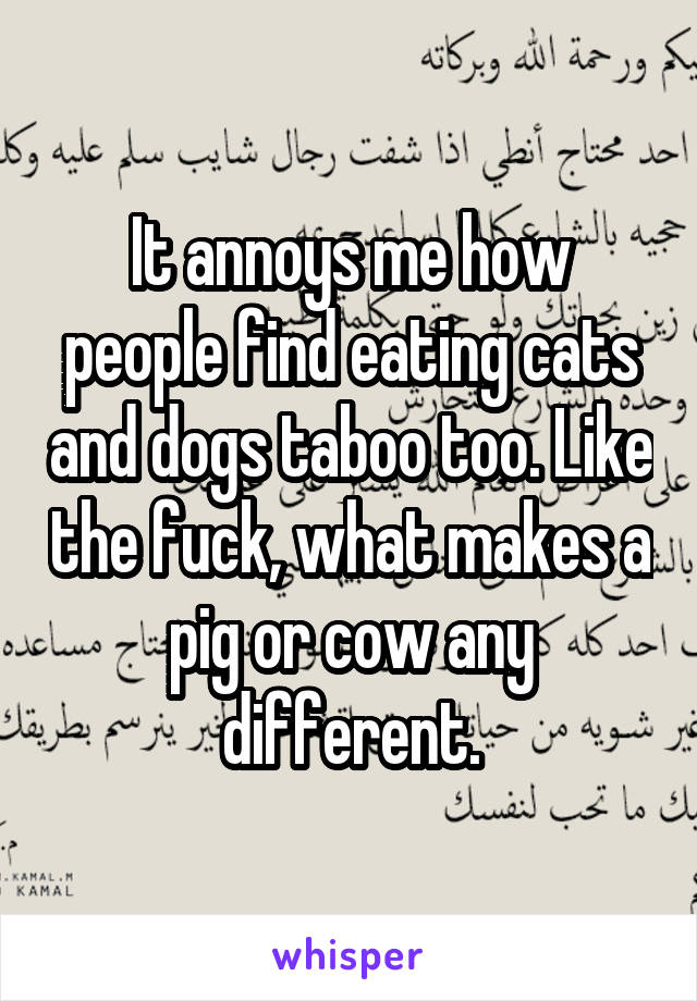 It annoys me how people find eating cats and dogs taboo too. Like the fuck, what makes a pig or cow any different.