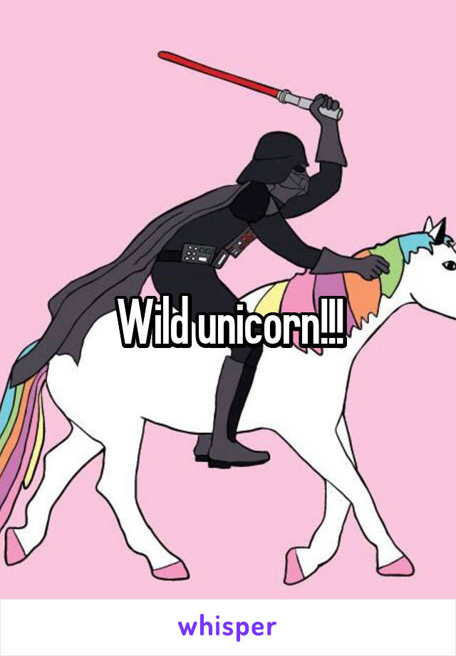 Wild unicorn!!!