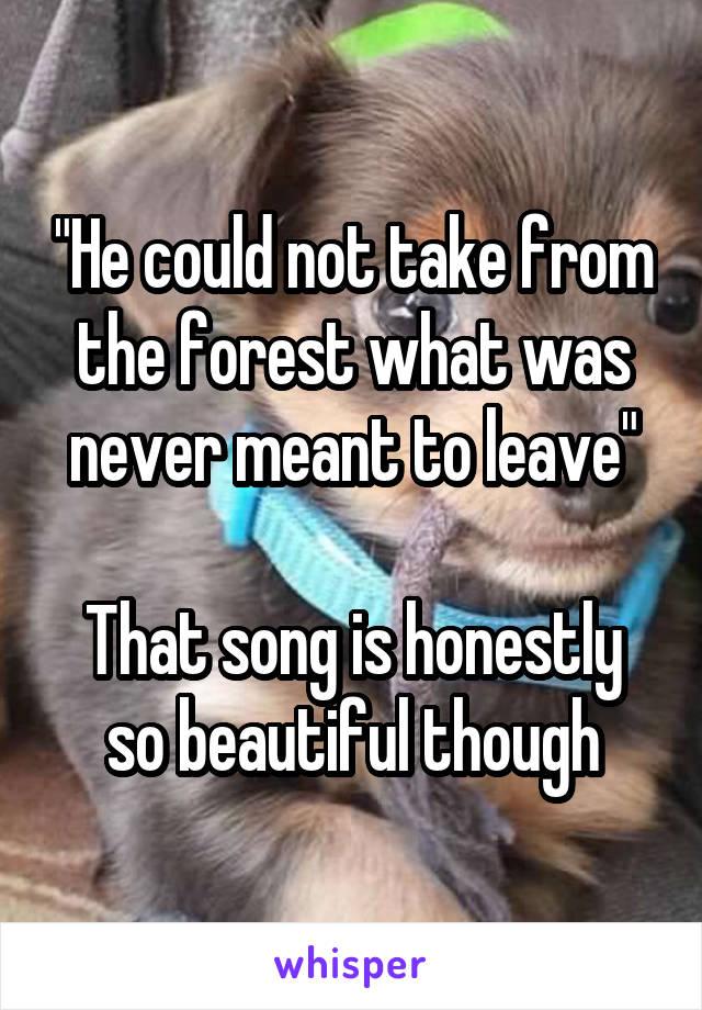 "He could not take from the forest what was never meant to leave"

That song is honestly so beautiful though