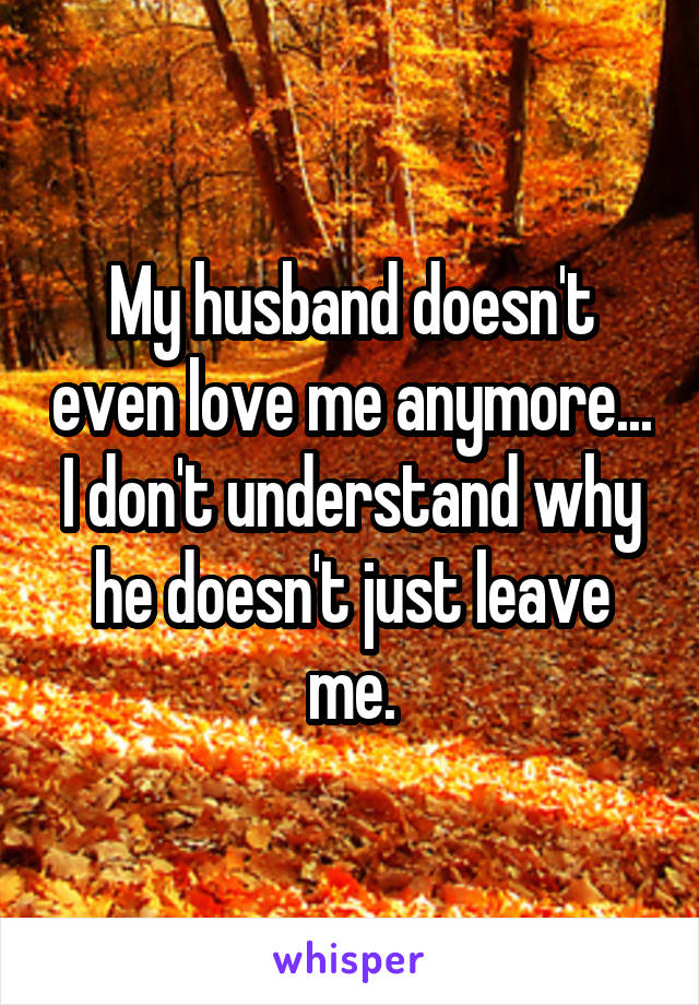 My husband doesn't even love me anymore... I don't understand why he doesn't just leave me.