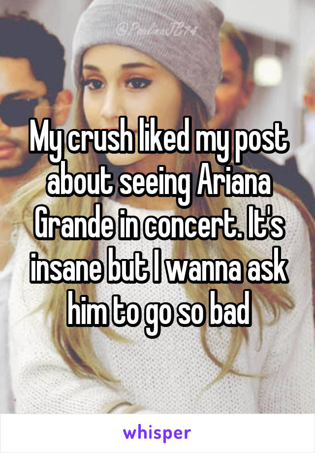 My crush liked my post about seeing Ariana Grande in concert. It's insane but I wanna ask him to go so bad