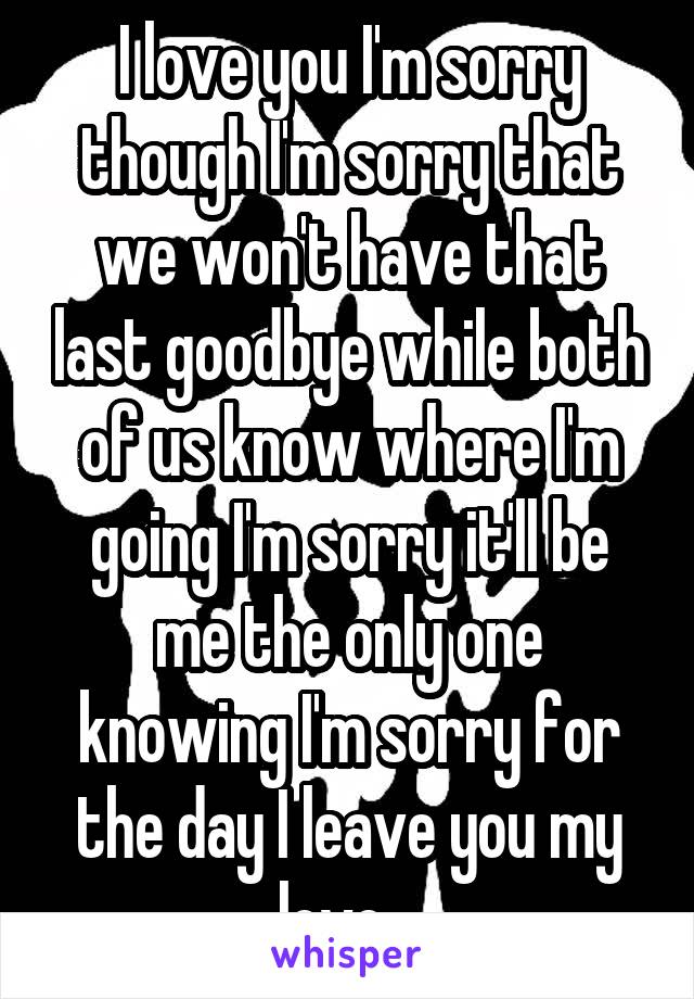 I love you I'm sorry though I'm sorry that we won't have that last goodbye while both of us know where I'm going I'm sorry it'll be me the only one knowing I'm sorry for the day I leave you my love   