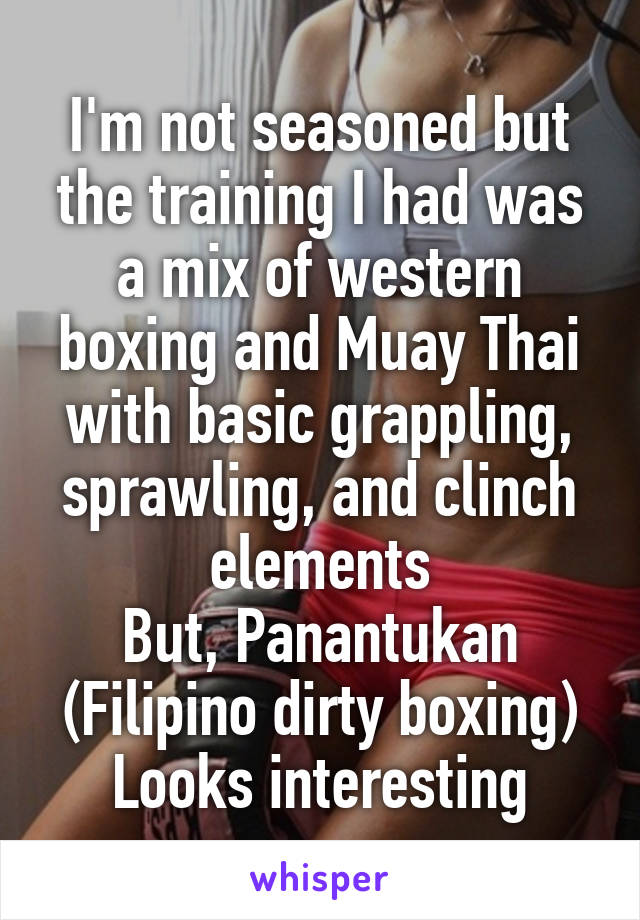 I'm not seasoned but the training I had was a mix of western boxing and Muay Thai with basic grappling, sprawling, and clinch elements
But, Panantukan (Filipino dirty boxing)
Looks interesting