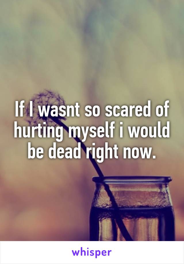 If I wasnt so scared of hurting myself i would be dead right now.