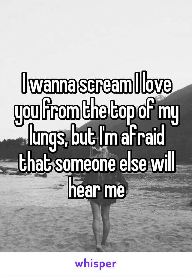 I wanna scream I love you from the top of my lungs, but I'm afraid that someone else will hear me