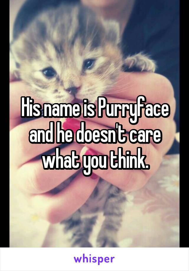 His name is Purryface and he doesn't care what you think.