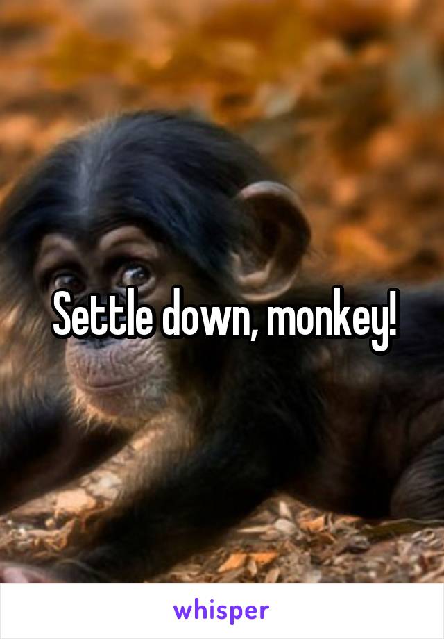 Settle down, monkey!