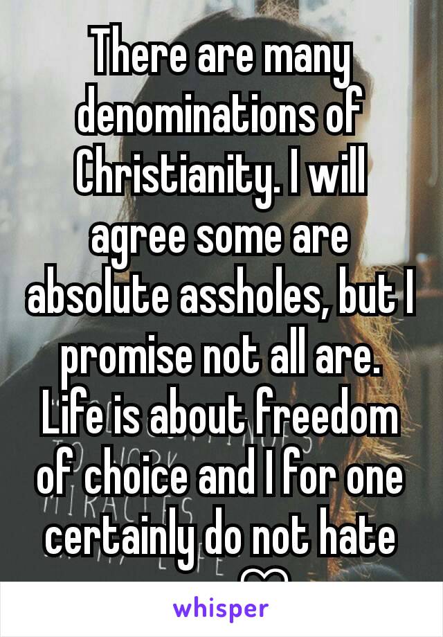 There are many denominations of Christianity. I will agree some are absolute assholes, but I promise not all are. Life is about freedom of choice and I for one certainly do not hate gays ♡