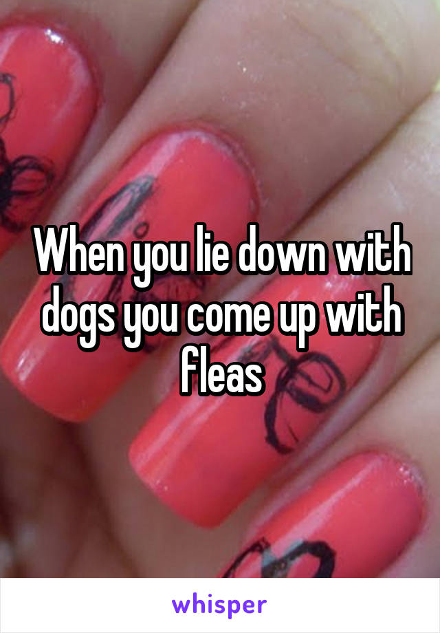 When you lie down with dogs you come up with fleas