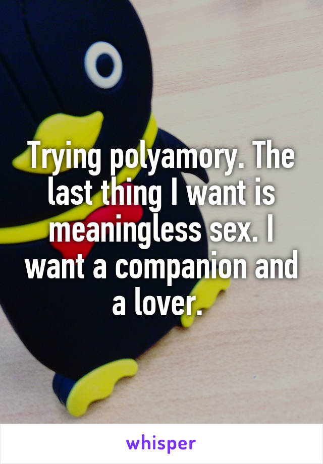 Trying polyamory. The last thing I want is meaningless sex. I want a companion and a lover. 