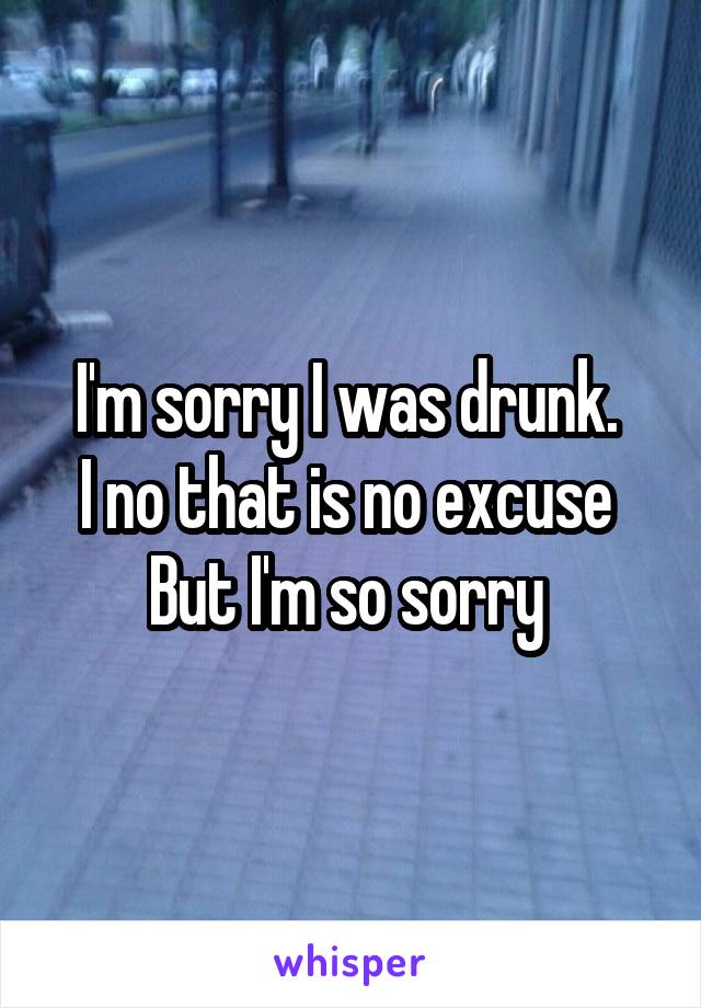 I'm sorry I was drunk. 
I no that is no excuse 
But I'm so sorry 