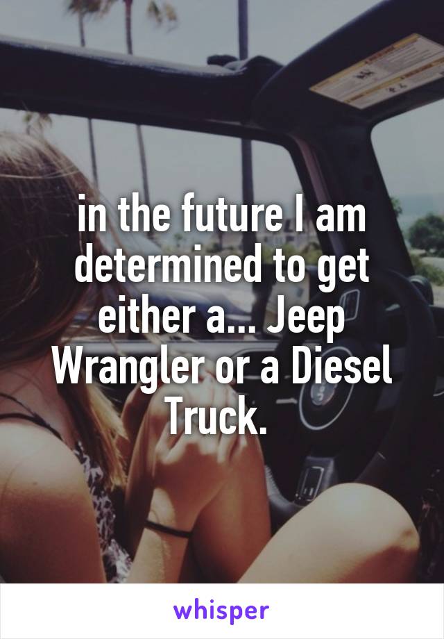 in the future I am determined to get either a... Jeep Wrangler or a Diesel Truck. 