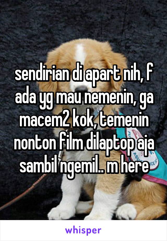 sendirian di apart nih, f ada yg mau nemenin, ga macem2 kok, temenin nonton film dilaptop aja sambil ngemil.. m here