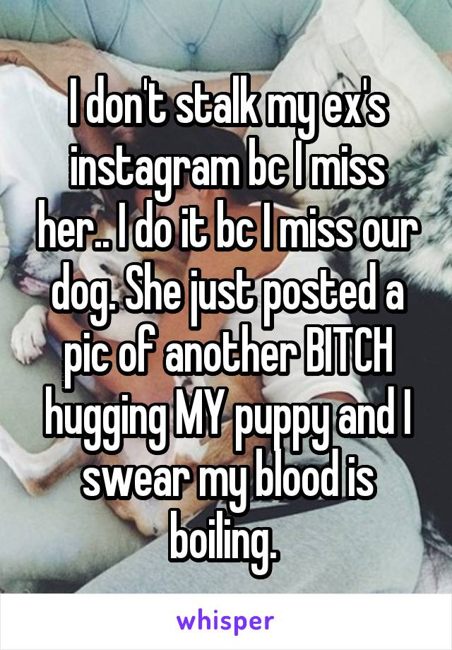 I don't stalk my ex's instagram bc I miss her.. I do it bc I miss our dog. She just posted a pic of another BITCH hugging MY puppy and I swear my blood is boiling. 