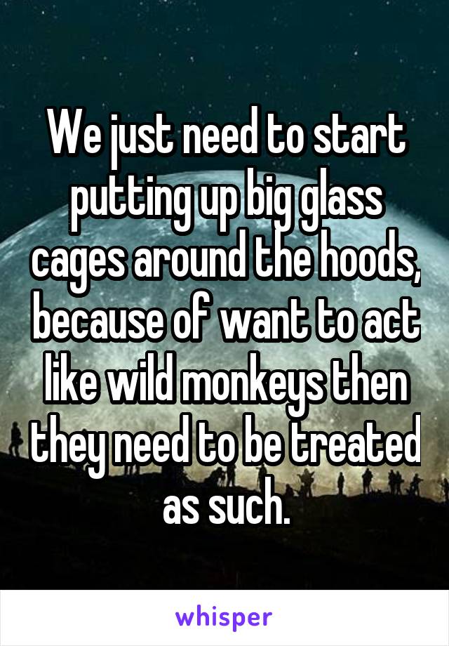 We just need to start putting up big glass cages around the hoods, because of want to act like wild monkeys then they need to be treated as such.