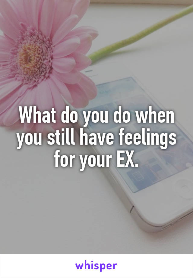 What do you do when you still have feelings for your EX.