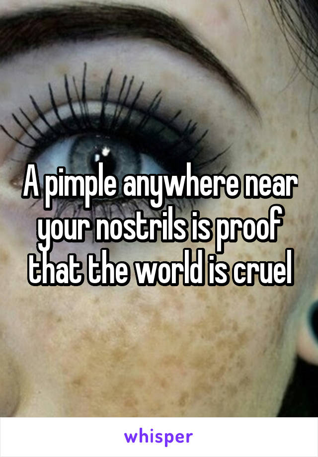 A pimple anywhere near your nostrils is proof that the world is cruel