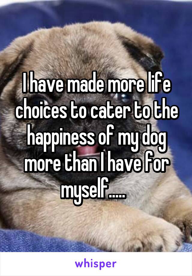 I have made more life choices to cater to the happiness of my dog more than I have for myself.....  