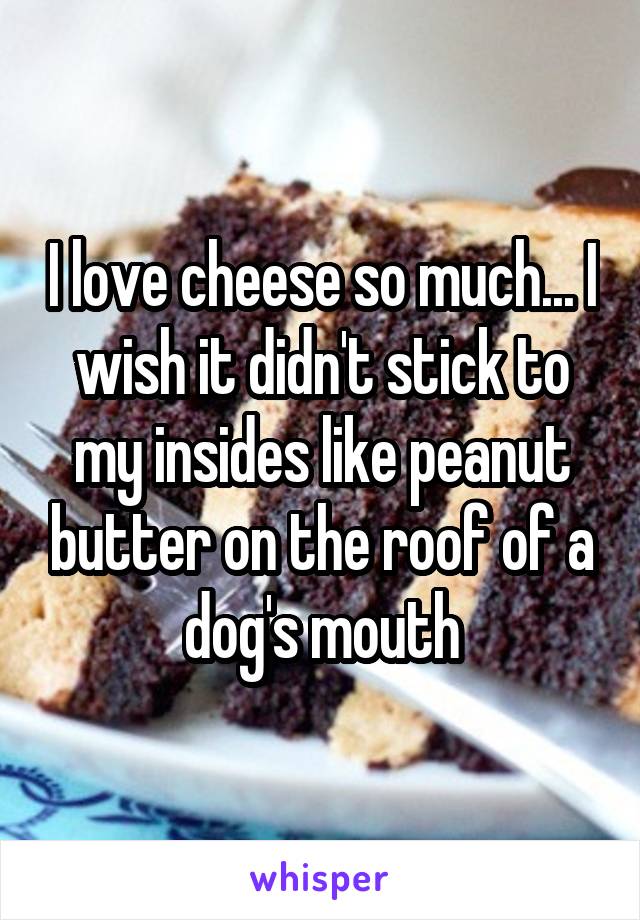 I love cheese so much... I wish it didn't stick to my insides like peanut butter on the roof of a dog's mouth