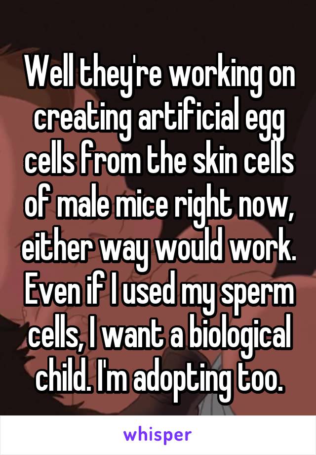 Well they're working on creating artificial egg cells from the skin cells of male mice right now, either way would work. Even if I used my sperm cells, I want a biological child. I'm adopting too.