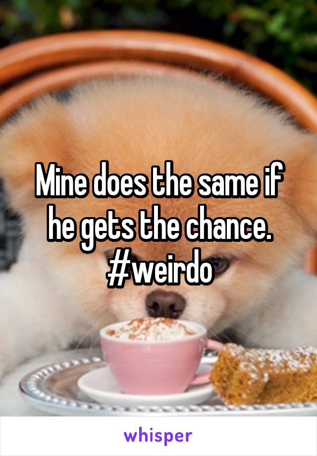 Mine does the same if he gets the chance. #weirdo