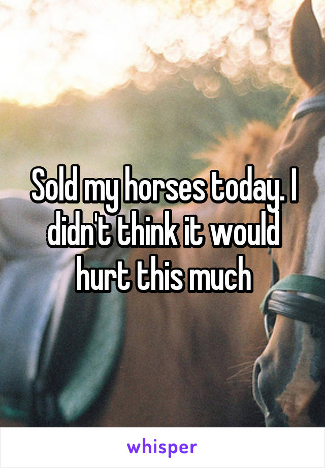 Sold my horses today. I didn't think it would hurt this much