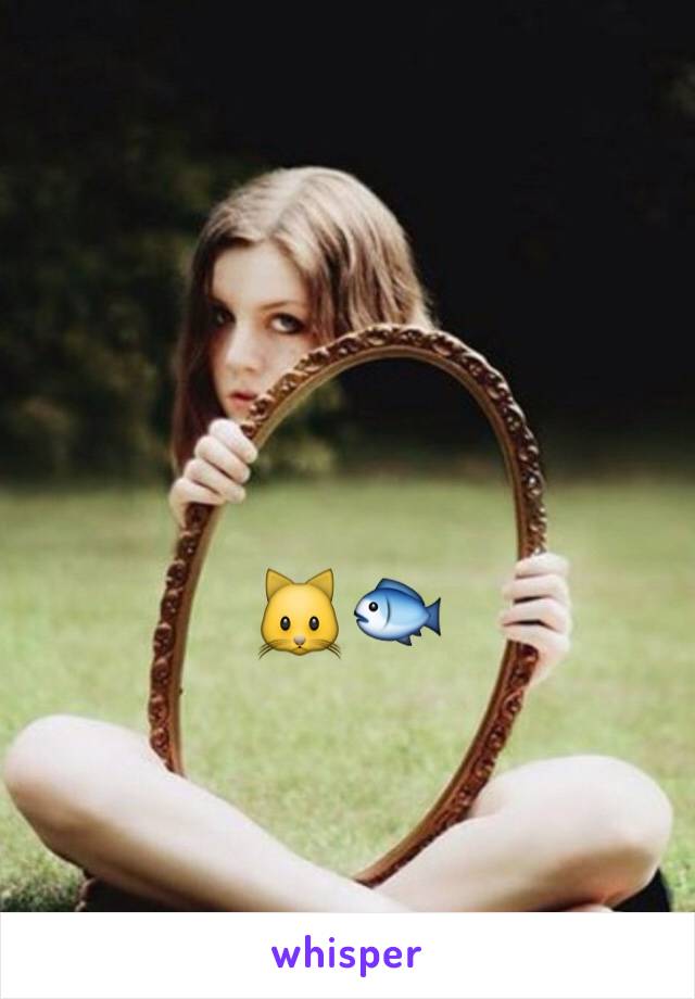 🐱🐟