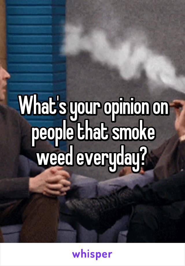 What's your opinion on people that smoke weed everyday? 