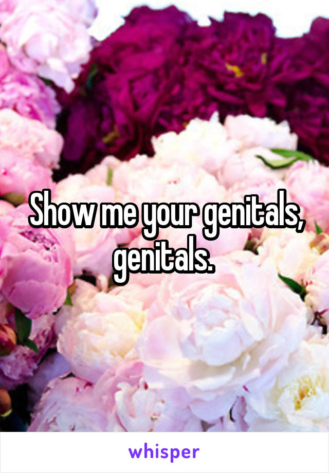 Show me your genitals, genitals. 