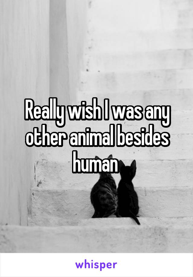 Really wish I was any other animal besides human 