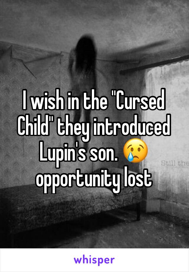 I wish in the "Cursed Child" they introduced Lupin's son. 😢opportunity lost