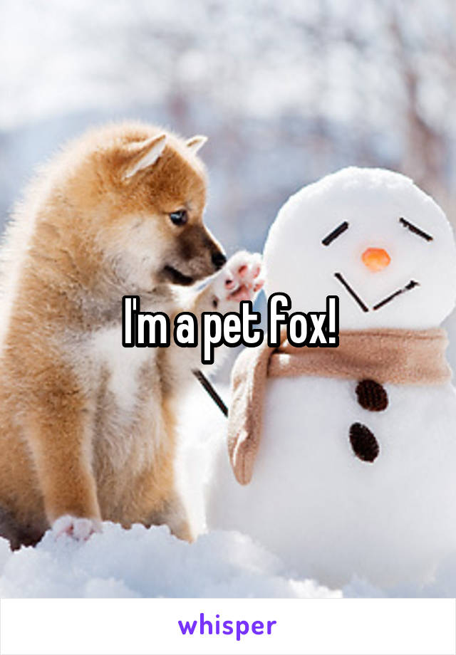 I'm a pet fox!