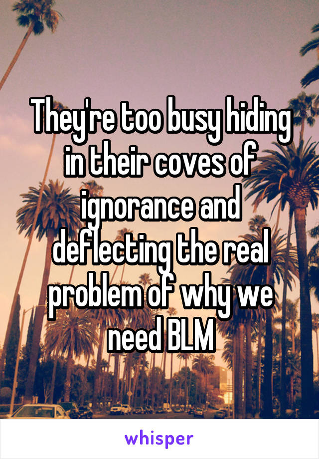 They're too busy hiding in their coves of ignorance and deflecting the real problem of why we need BLM