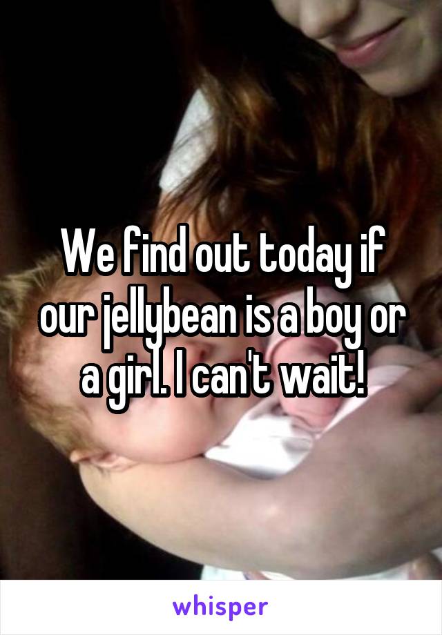 We find out today if our jellybean is a boy or a girl. I can't wait!